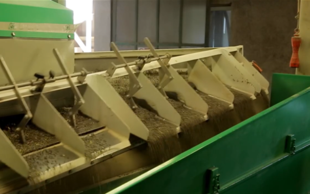 Trescarte creates a new plant to triple its pulse sorting capacity