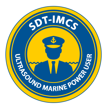 Pourquoi la formation en échographie est essentielle pour l'industrie maritime