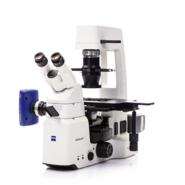 Zeiss AXIOVERT 5 inverted microscope
