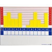 Magnetic GRAPHIC VISIOFLASH 12 months H 210 mm