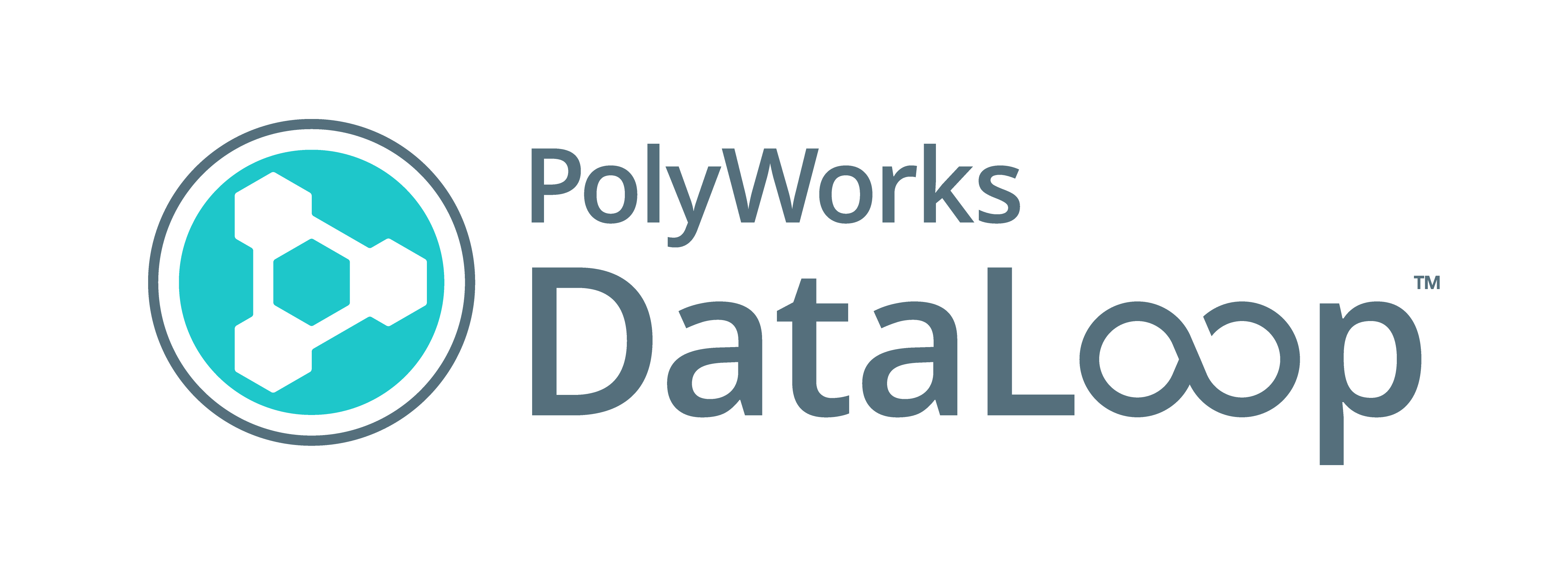 PolyWorksDataLoop Industrie online